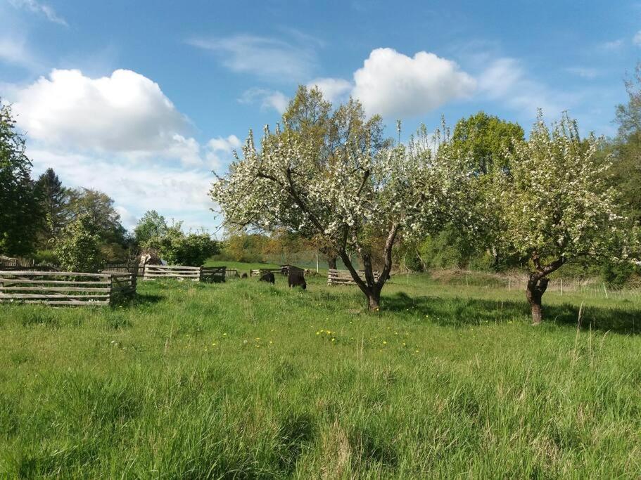 Moderne Wohnung Im Herzen Der Natur - Ingo'S Dream Babelin Kültér fotó